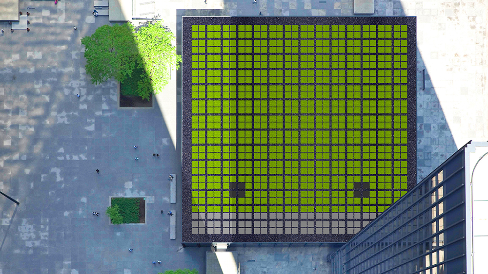 Aerial shot of a green roof, on a building owned by Cadillac Fairview.