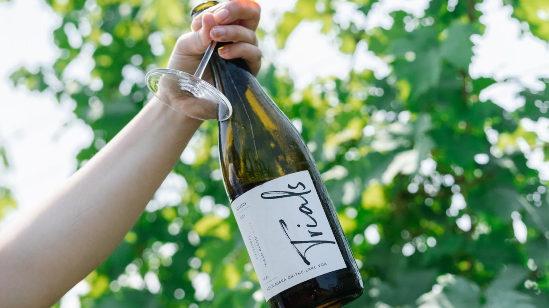 In an outdoor setting, a hand holds up a bottle of 2024 Stratus Trials and a wine glass.