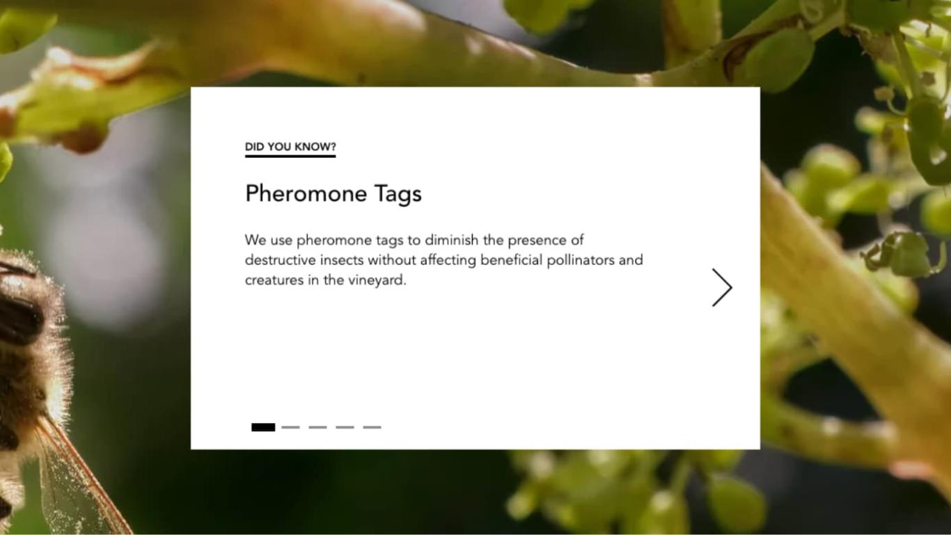 Screenshot from the Stratus website showing a “Did you know?” page about pheromone tags.