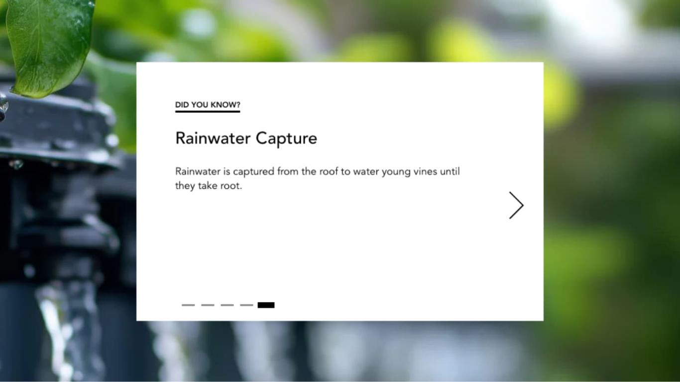 Screenshot from the Stratus website showing a “Did you know?” page about rainwater capture.