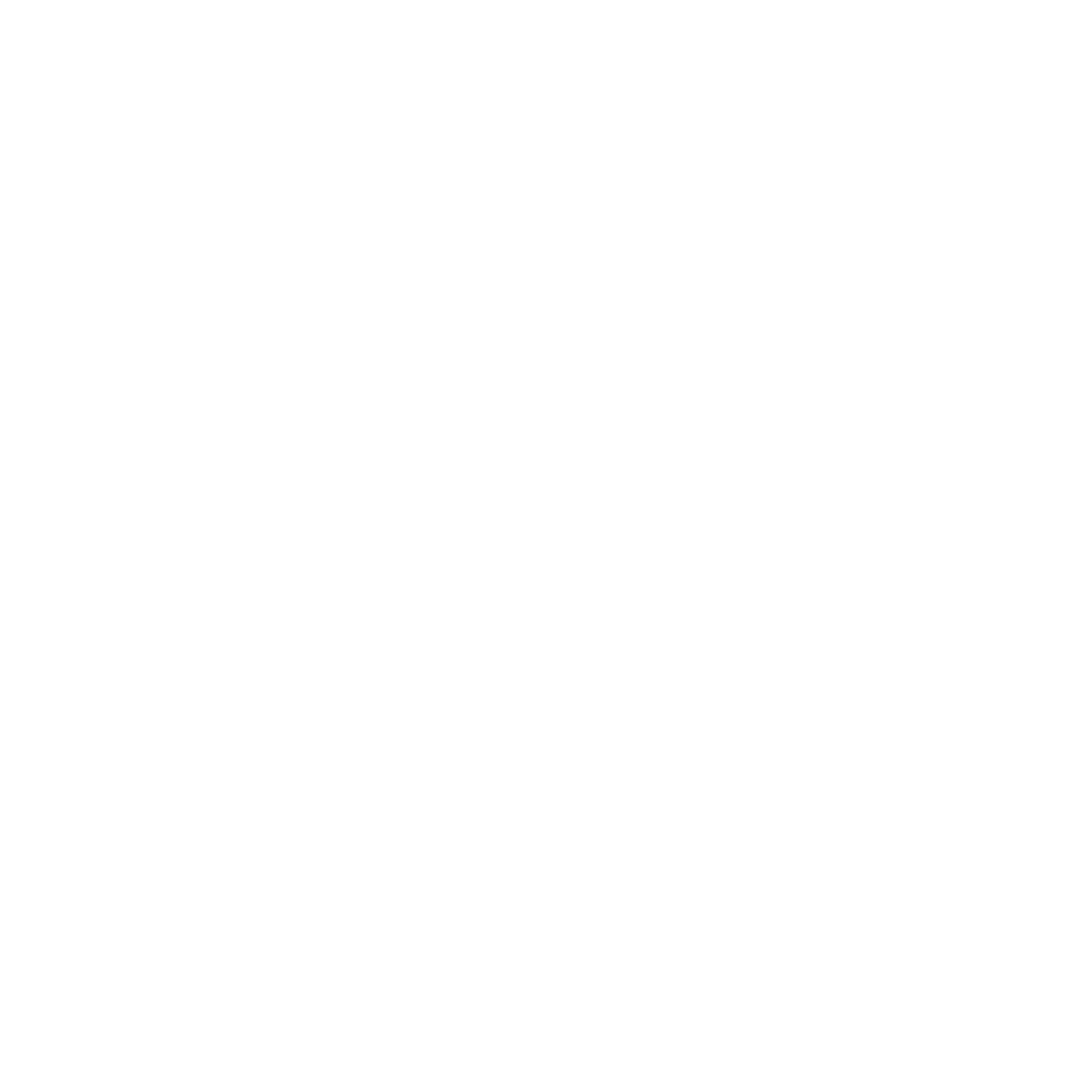 Spin Master Ltd. logo